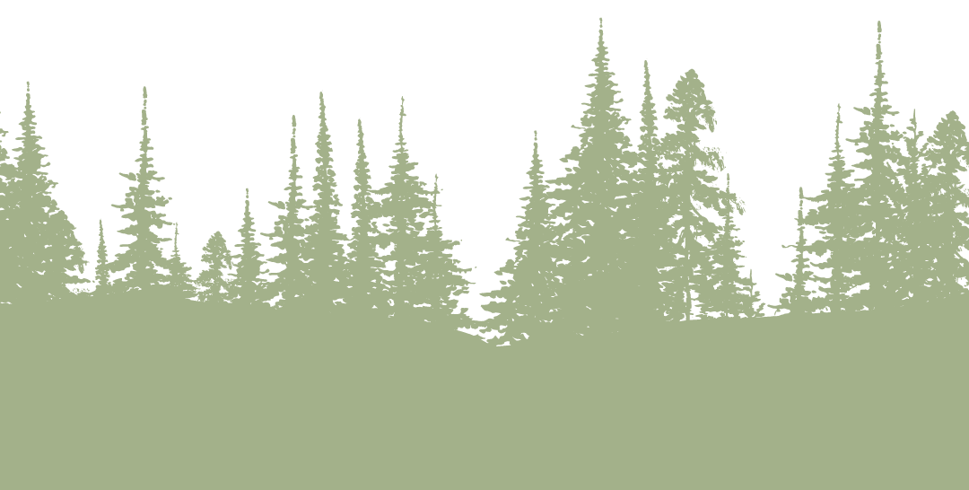 George Washington Banned