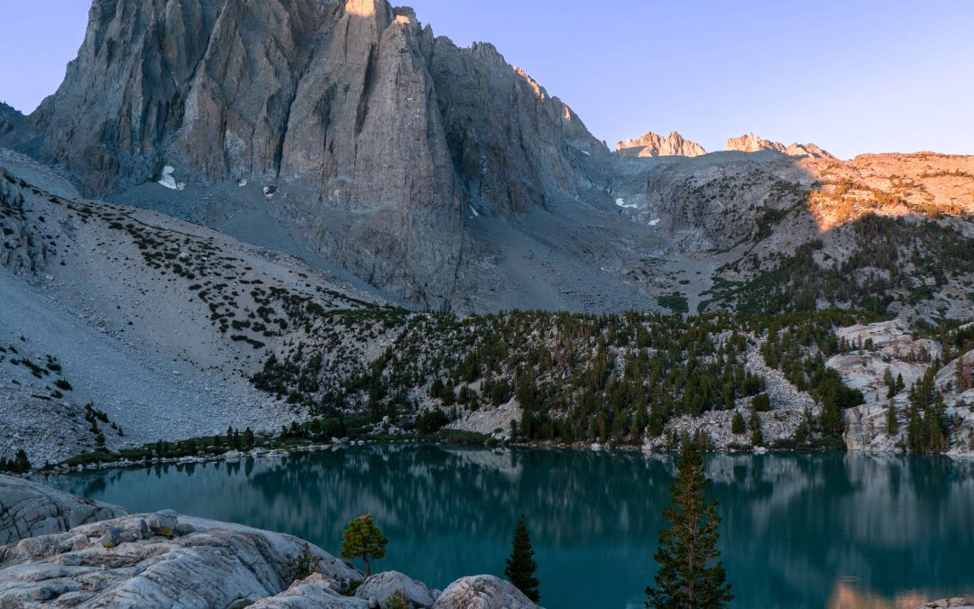 You’re Fired – and It’s about Time!